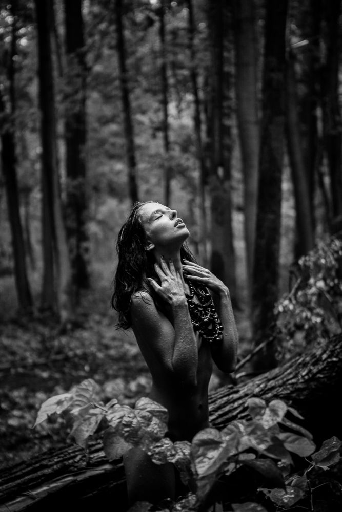 Photograph by Александр Прищепов