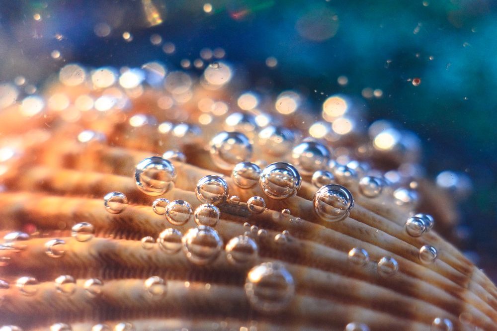 Photograph by Аксана Чалова