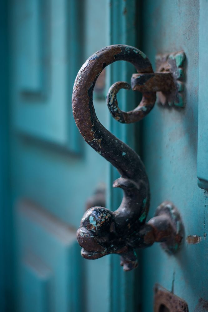 Don't be afraid... Doesn't bite!