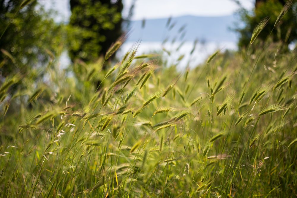 Photograph by Alexey