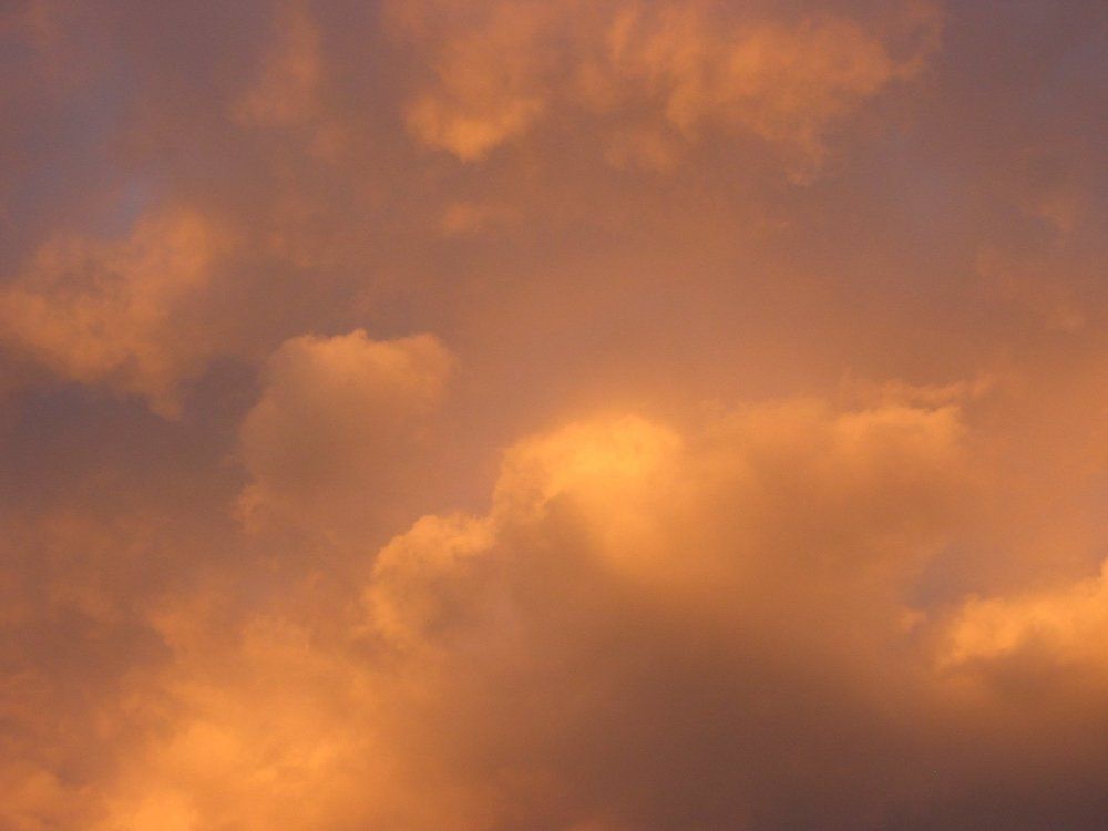 Под небом золотым