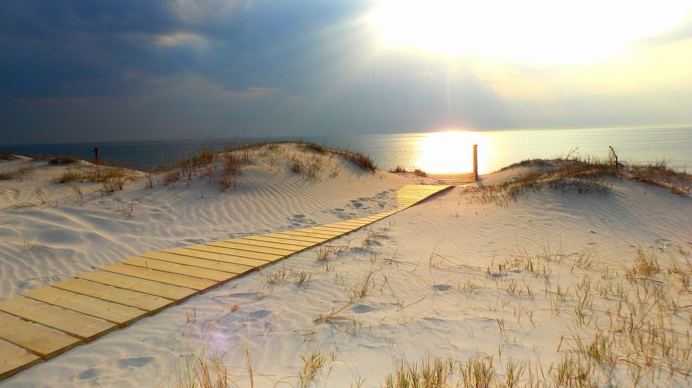 На Куршской косе