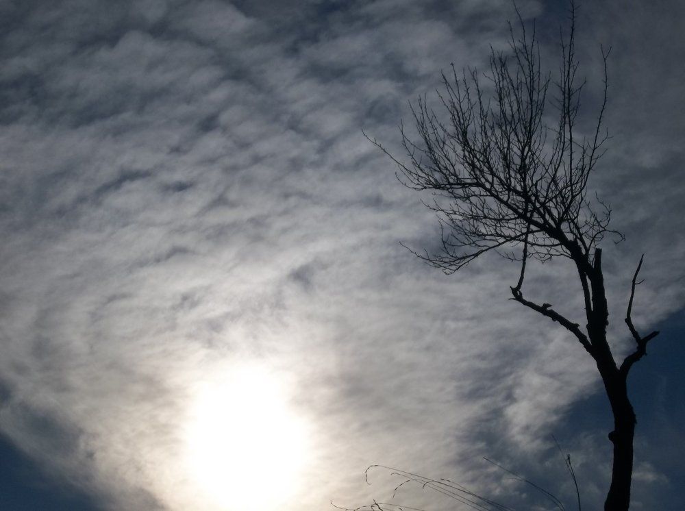 Photograph by Георги Колев