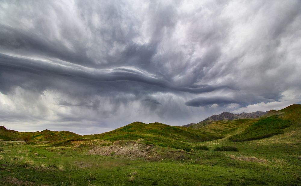 На просторах Казахстана