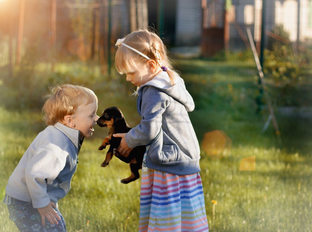 Детская непосредственность