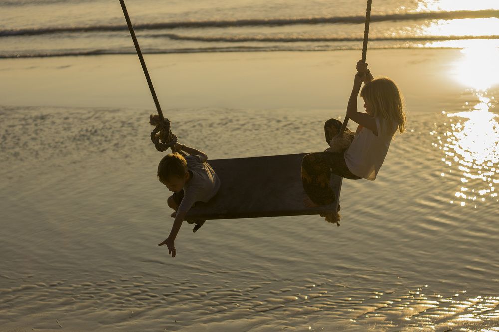 Парящие над морем