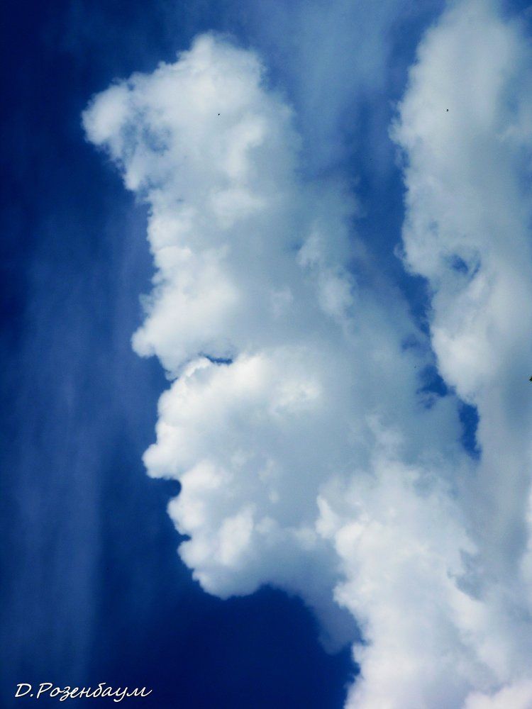 Портрет громовержца