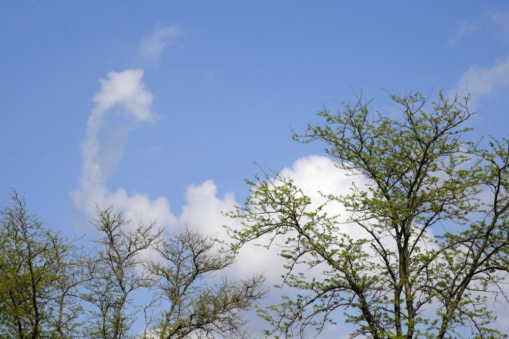 Ветер тучи собирает....