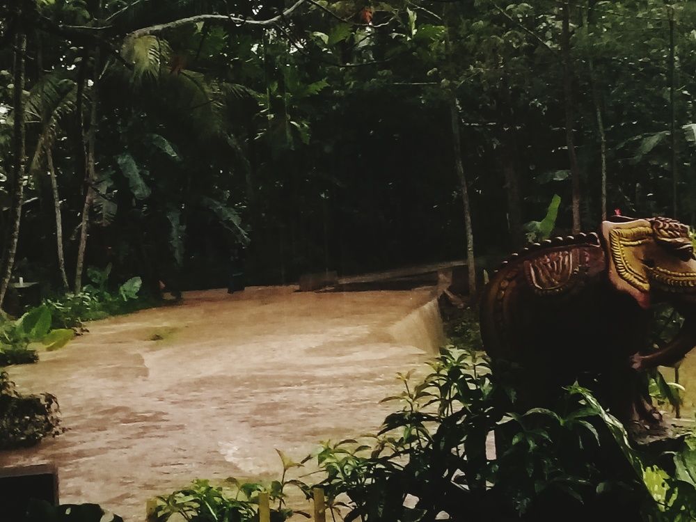 Beautiful Bad Floods