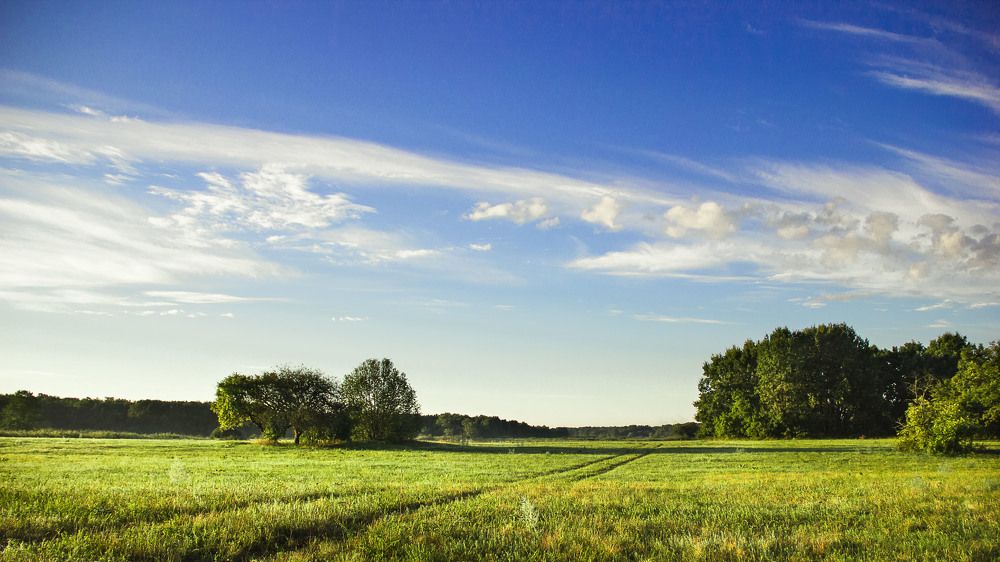 После рассвета