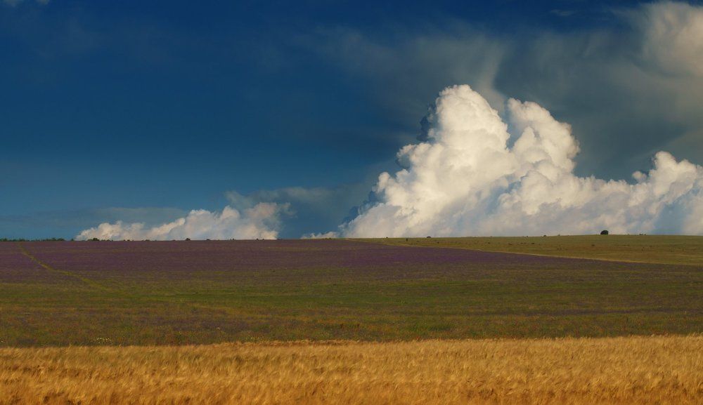 Облака по Миядзаки.