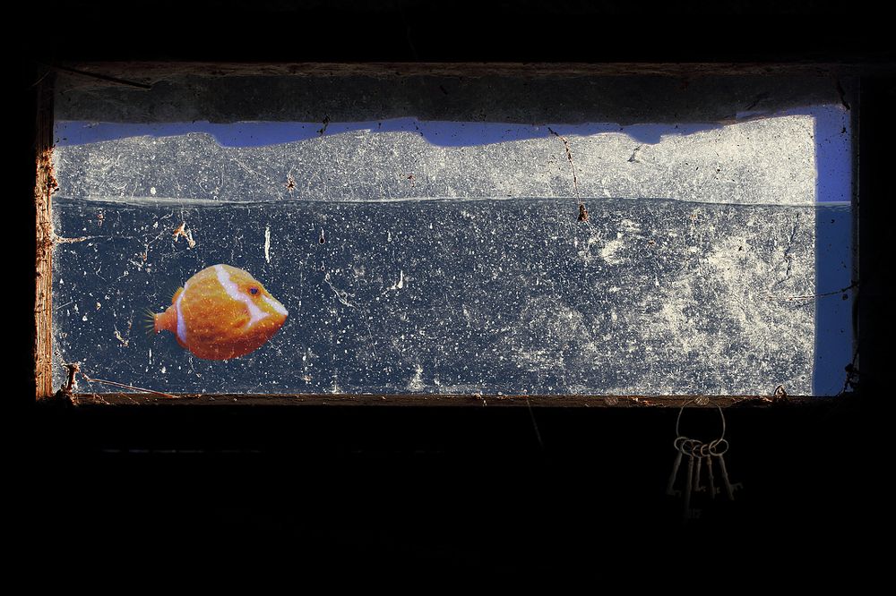 Как будто дом наш залило водой...