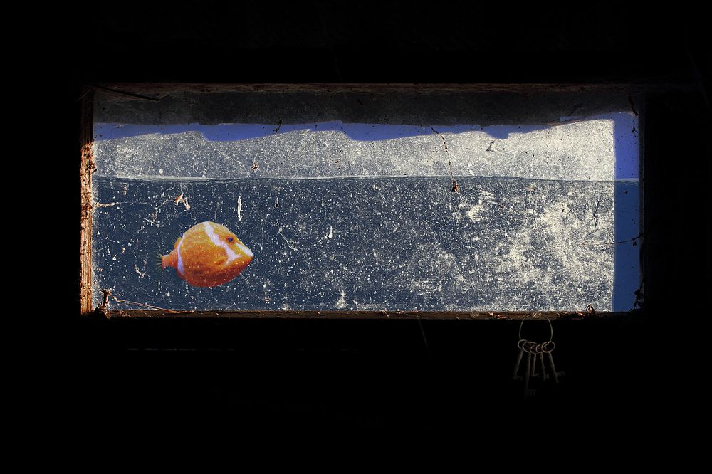 Как будто дом наш залило водой...