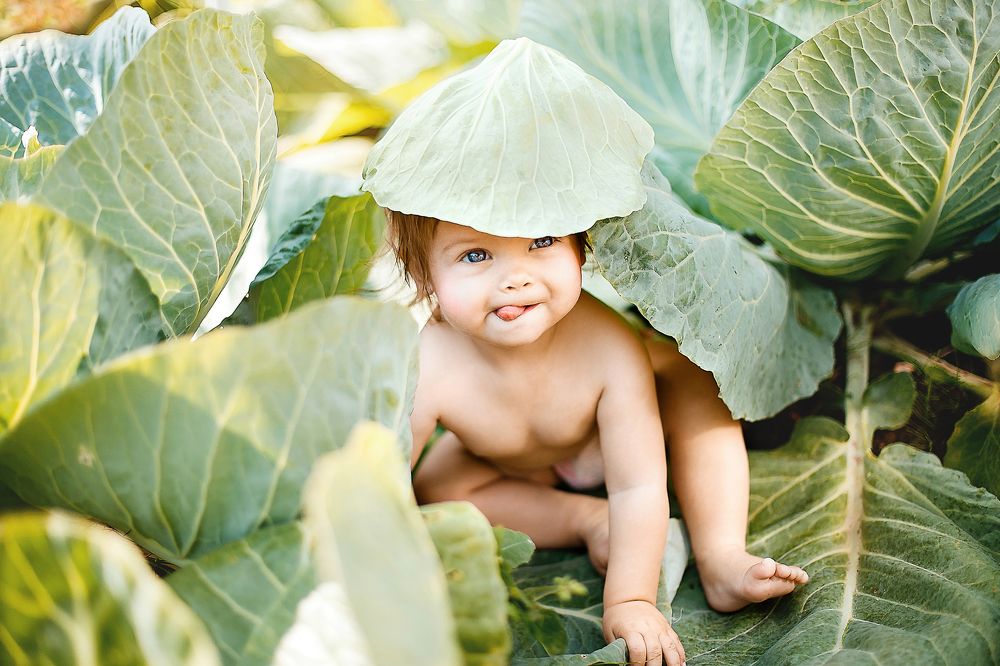 мамин урожай