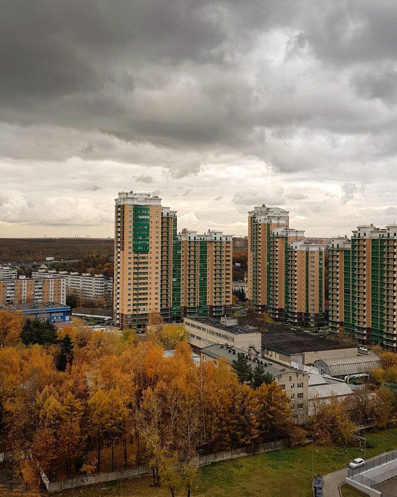 Над Бирюлево