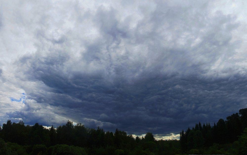 Перед бурей