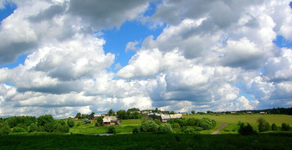 Небесное пастбище