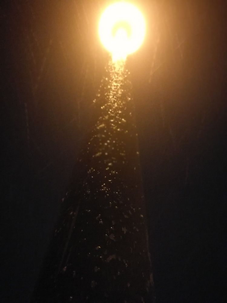 Обман зрения