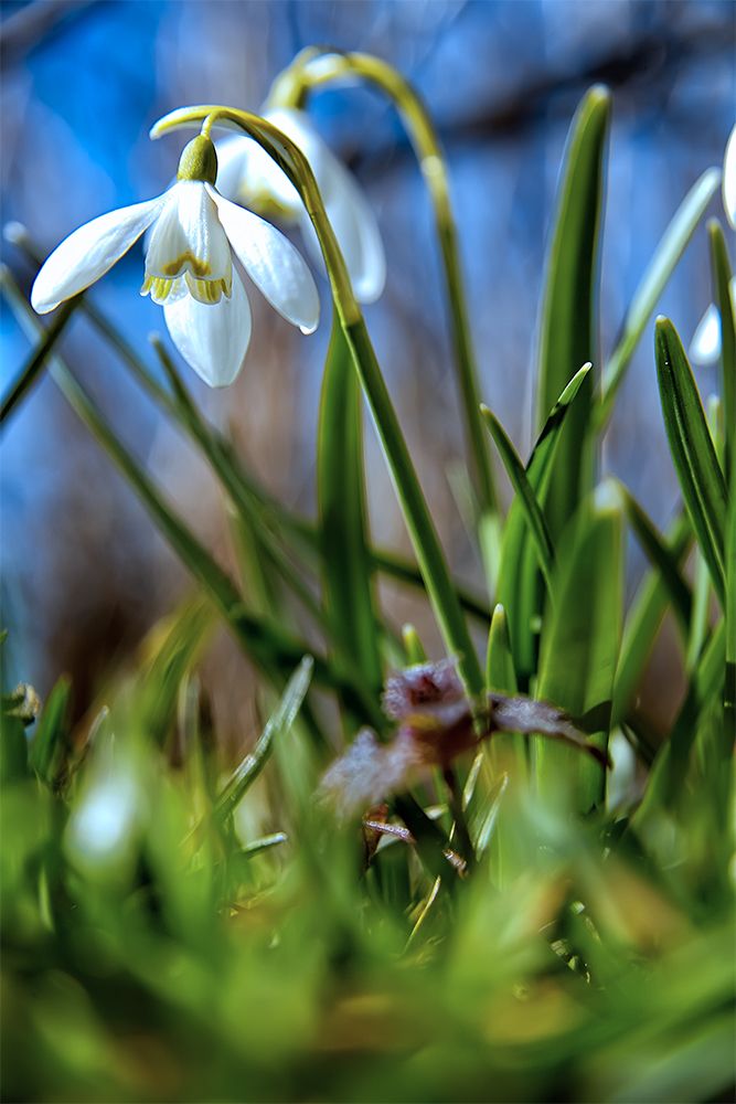 Фотография автора Игорь Иванов
