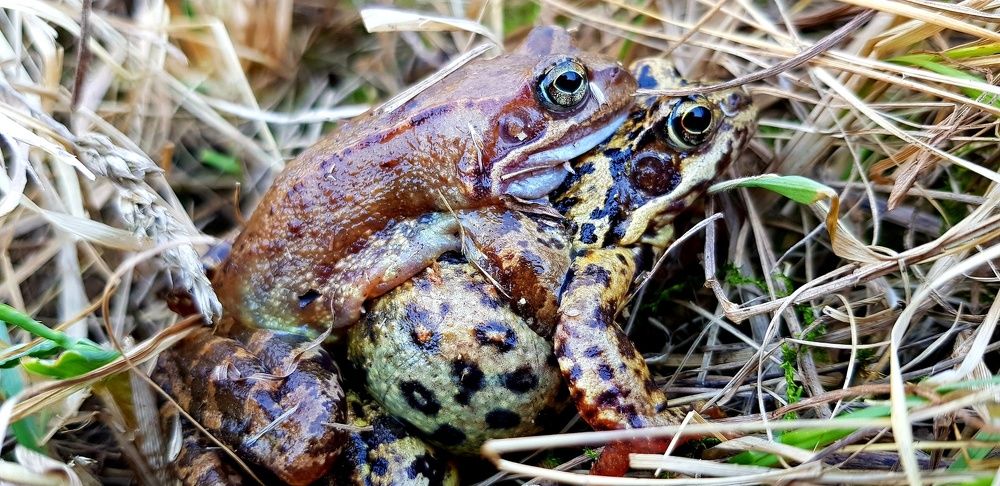 Интим....любофф...