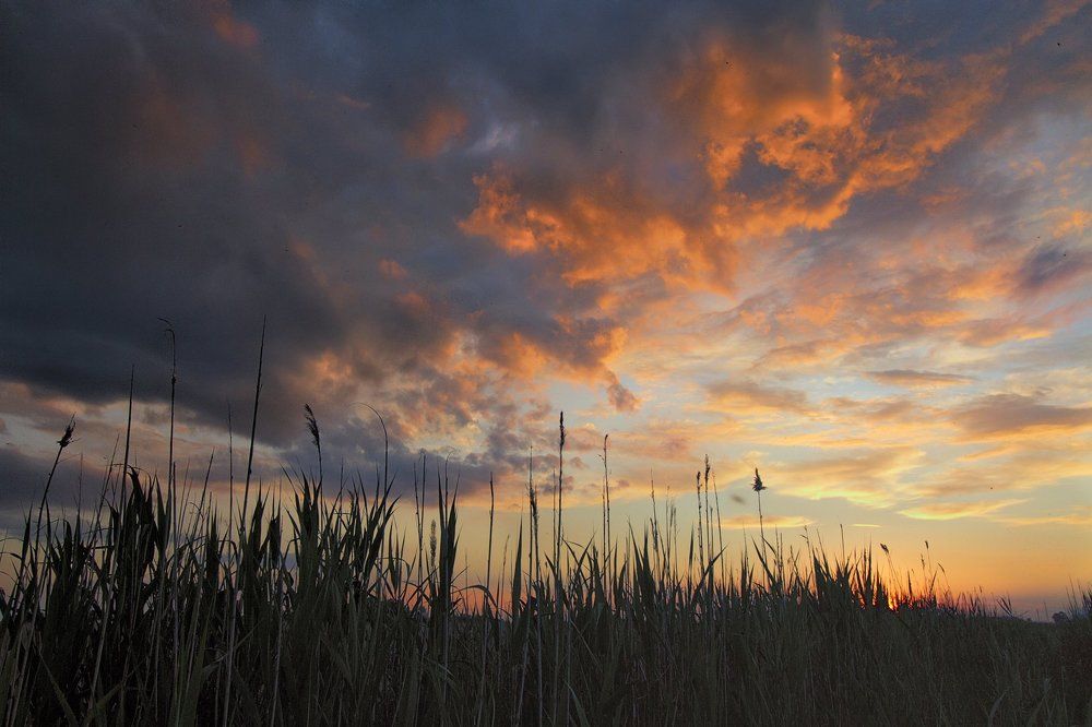 Перед грозой.