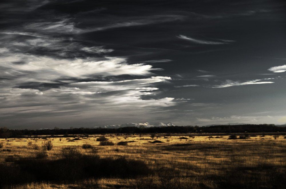 В мире контраста