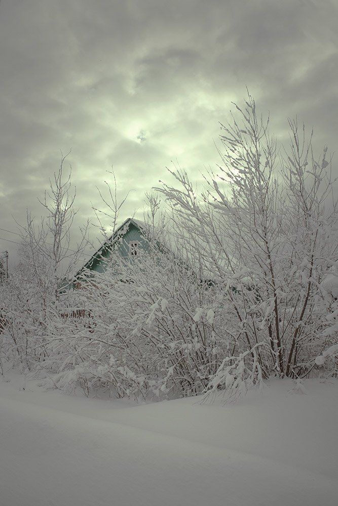 Митель прошла