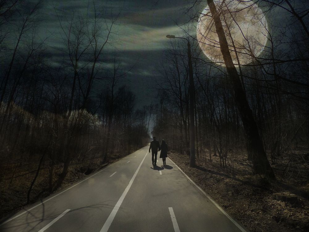 Безмолвная ночь