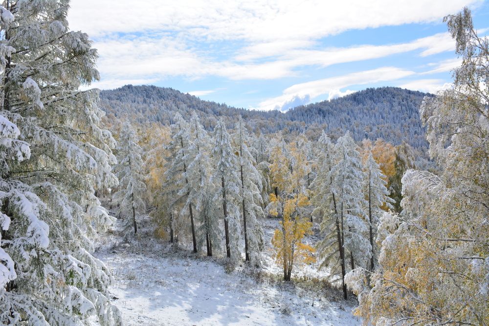 Встреча осени и зимы в горах