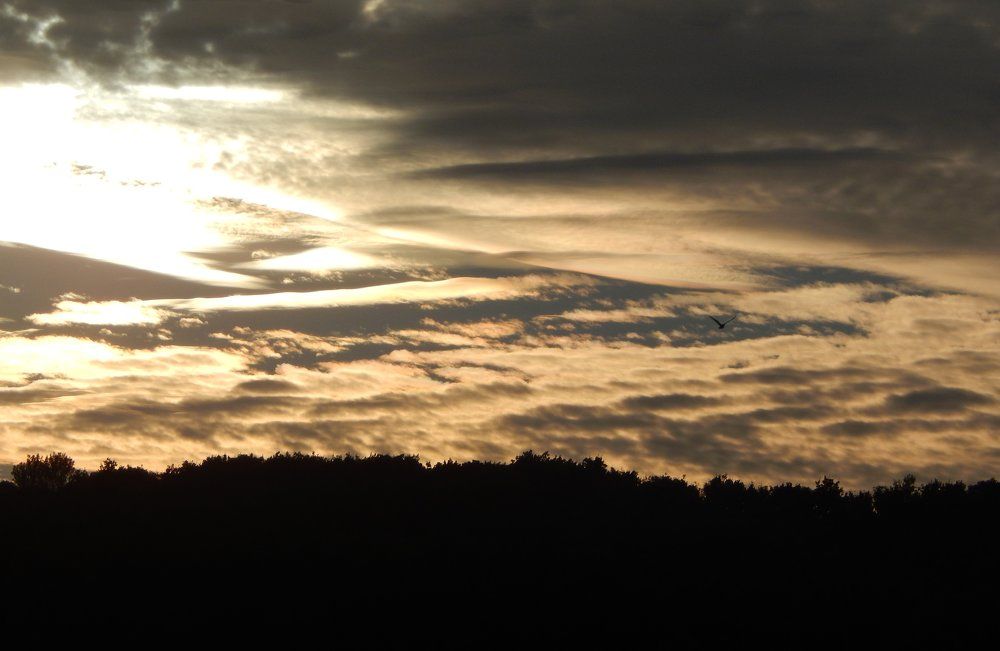 Фотография автора Станислав Компаниец