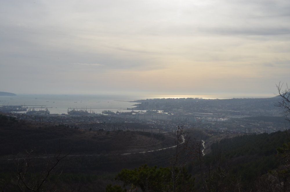 Photograph by Вероника