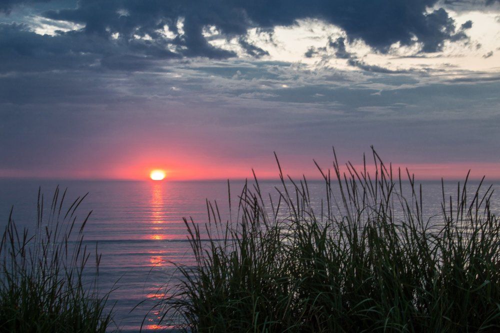 Photograph by Дмитрий