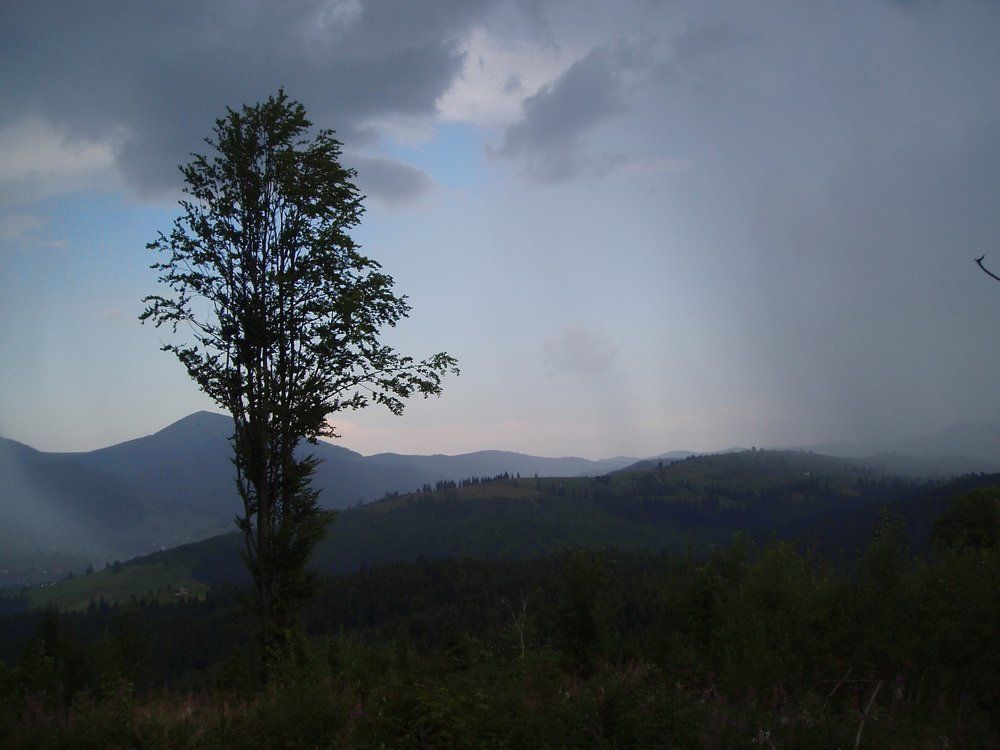 Дождь над Карпатами