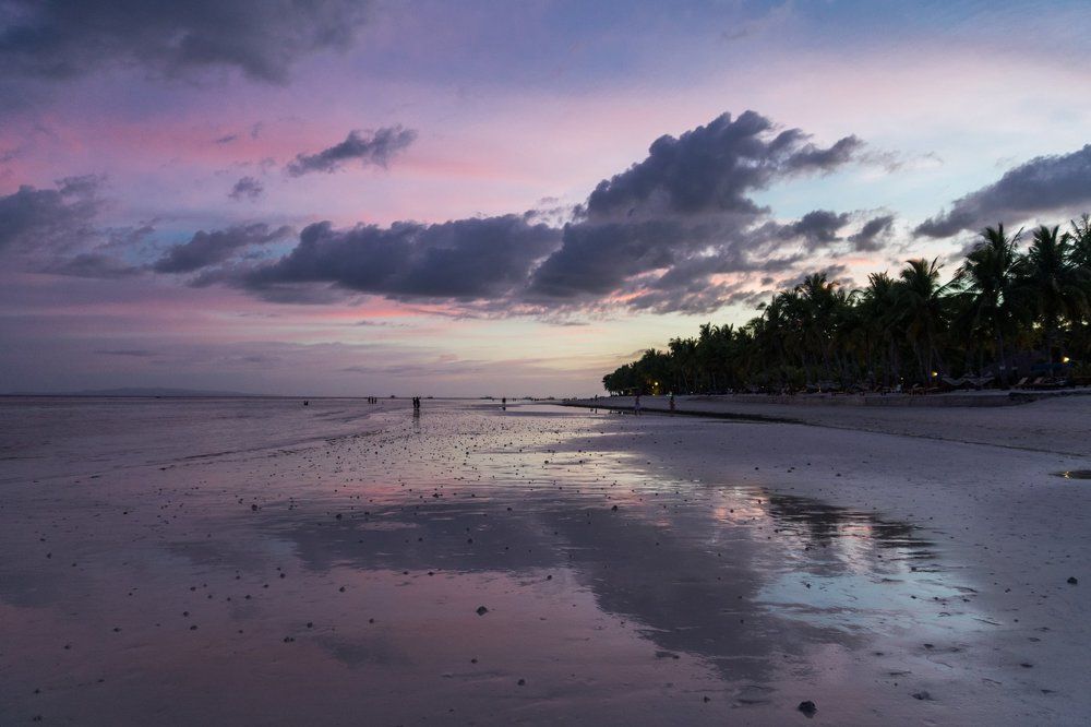 Фиолетовые филиппины