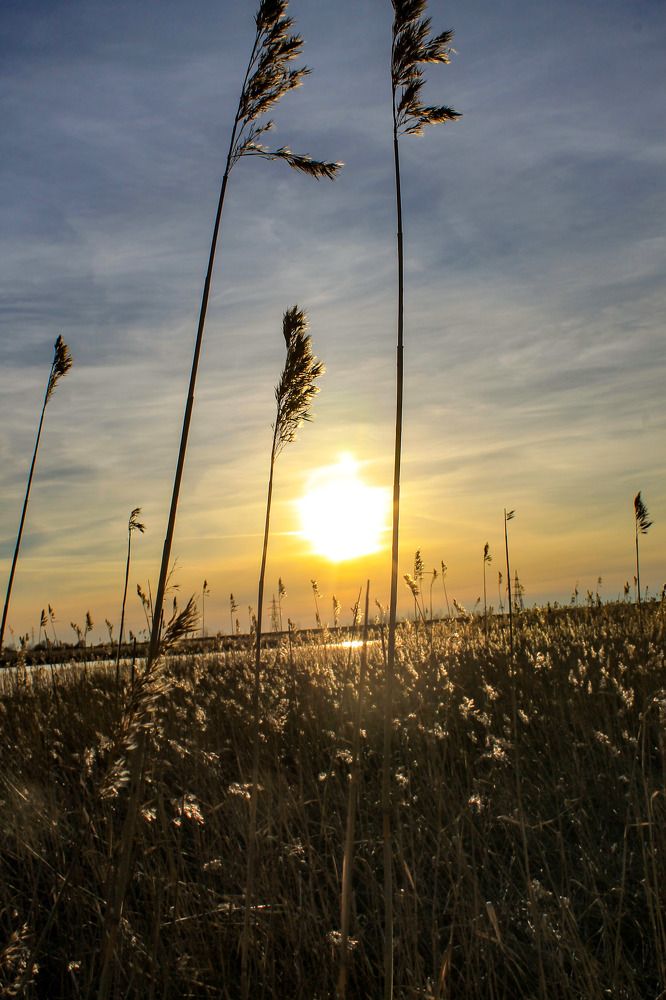 Photograph by lokomotiv