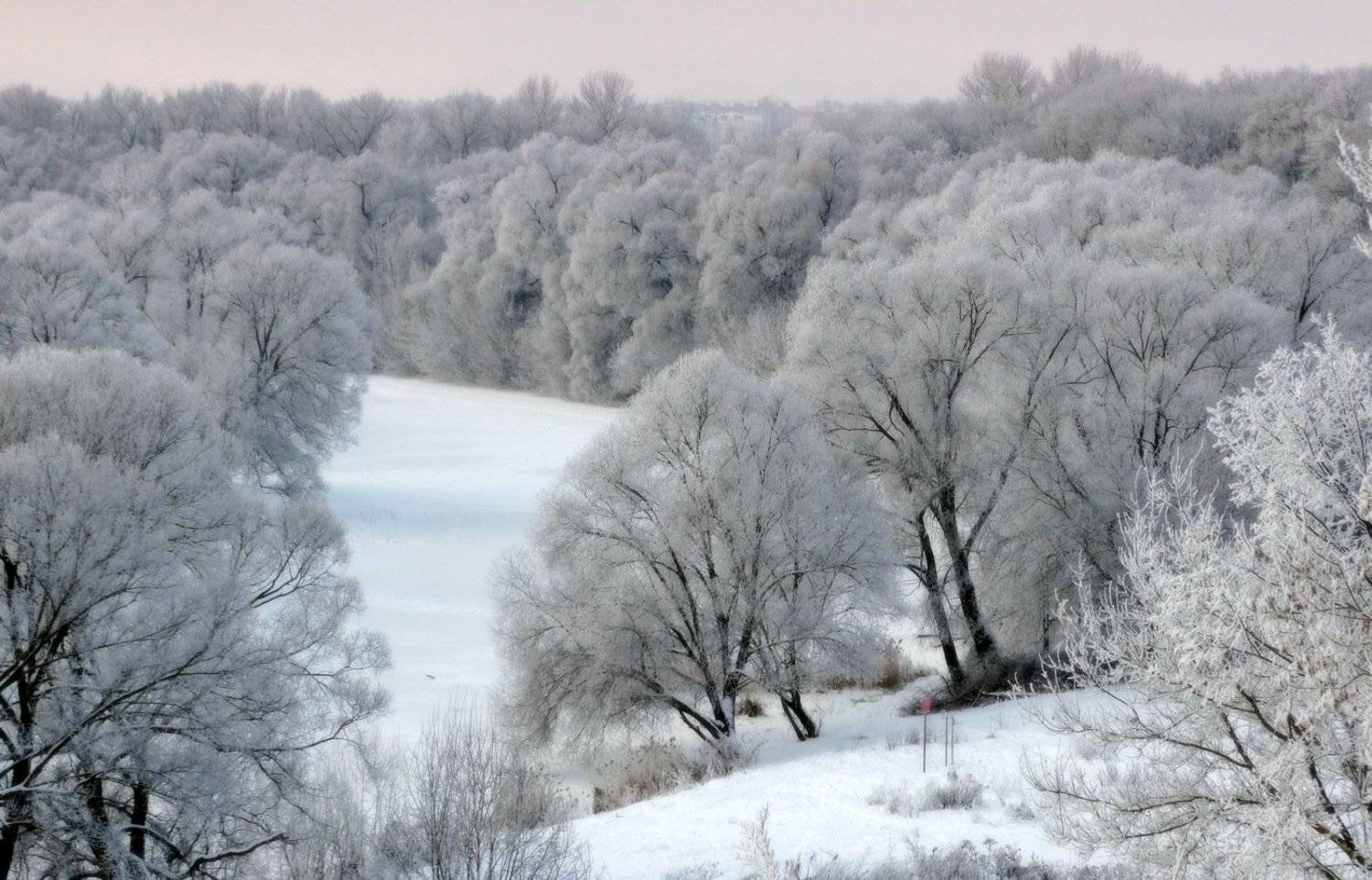 Всё в инее в морозный день