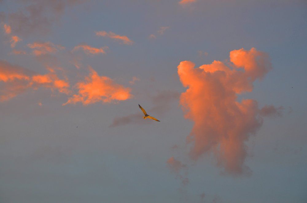 Небо над Барселоной