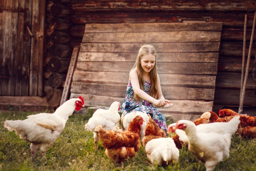 у бабушки в деревне