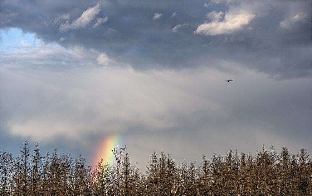 Догоняя радугу