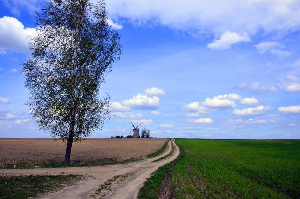 По дороге с облаками