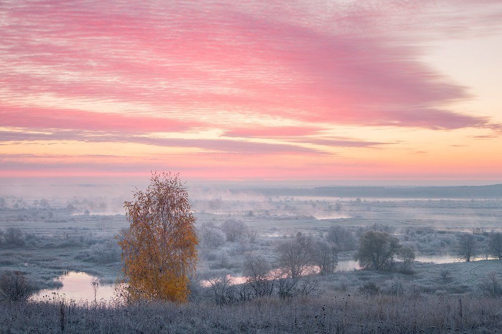 Розовое утро.