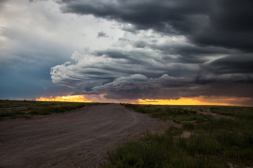 Перед бурей