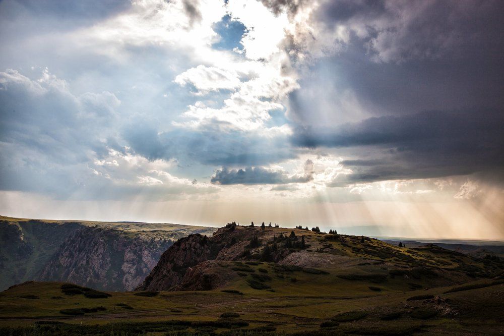 После дождя