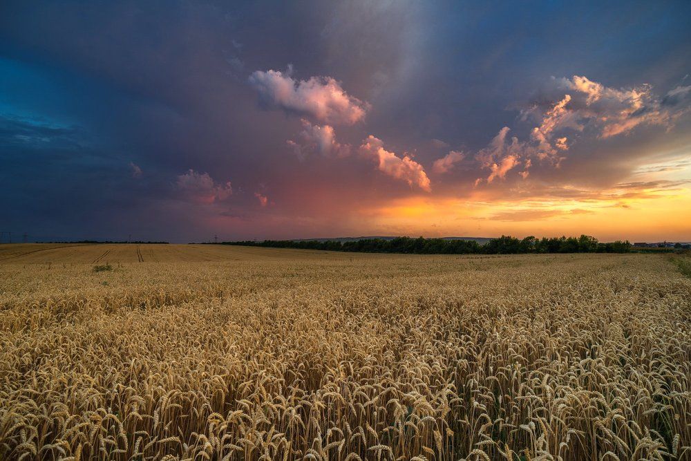 АВГУСТОВСКИЙ ВЕЧЕР