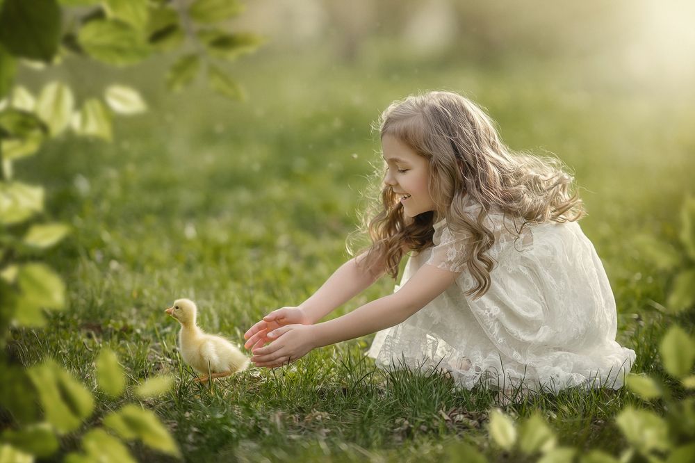 Photograph by Djeirana