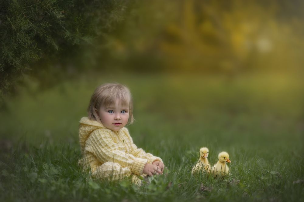 Photograph by Djeirana