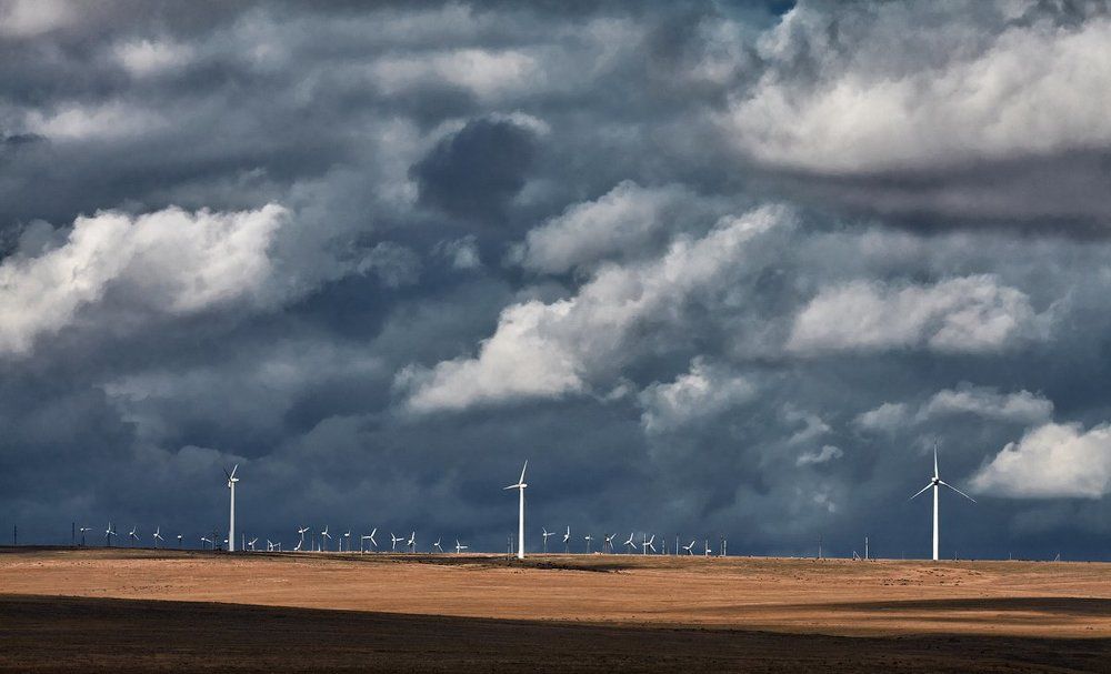 Подвластные ветру