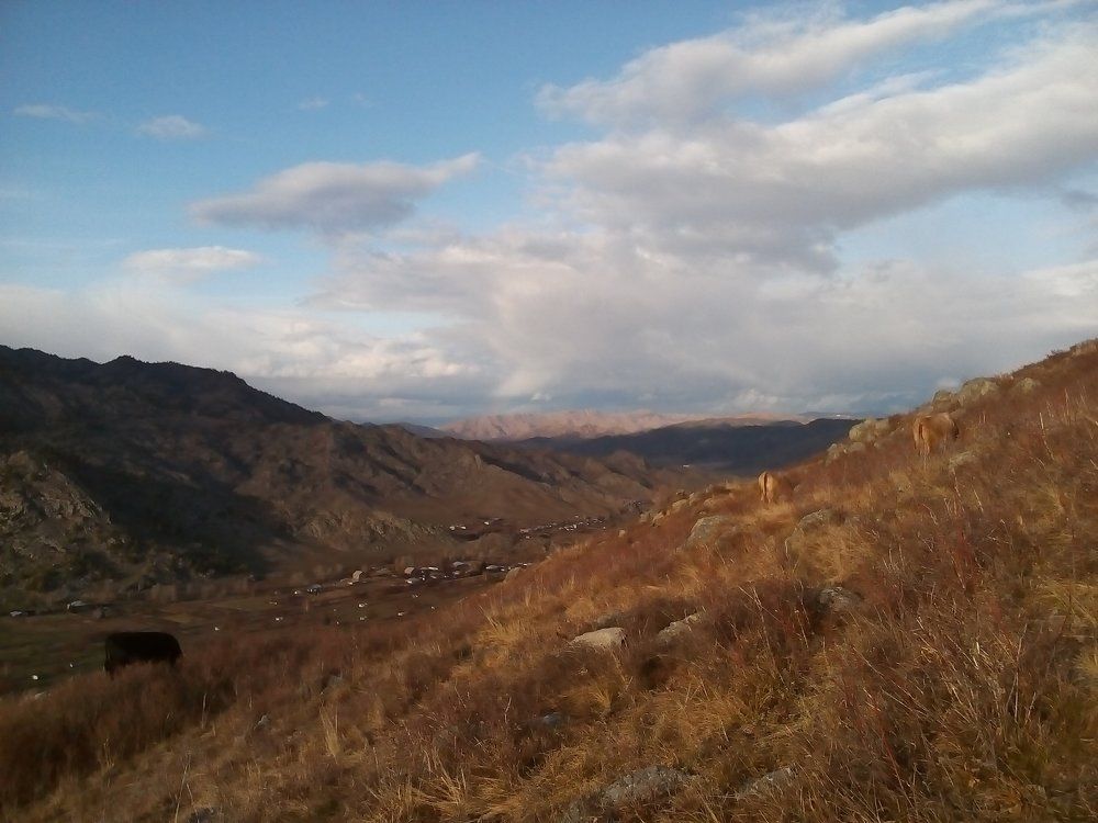 Photo #2302502