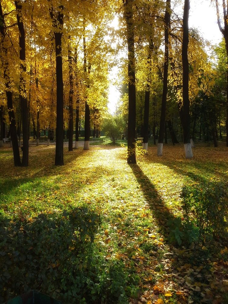 Photograph by Людмила М