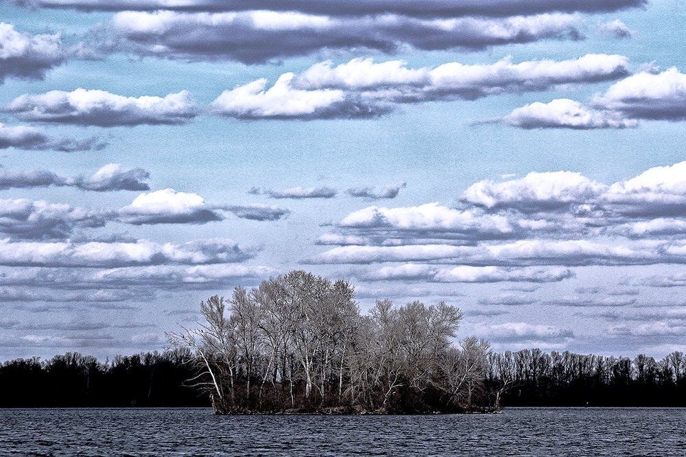Предчувствие Зимы